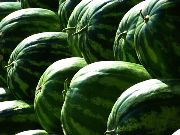 Outer Banks Watermelon Festival