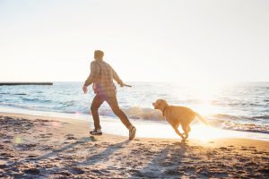 Take your dog to the Beach